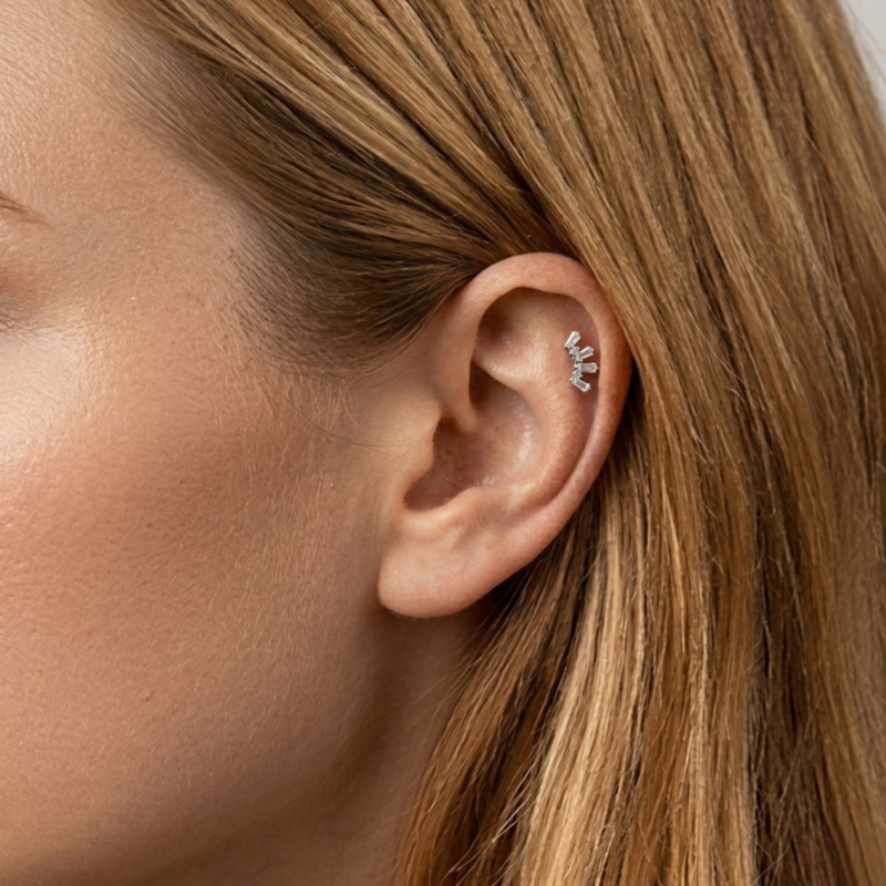 قطعة واحدة من مجوهرات ثقب الأذ - مراجعة Helix Cartilage Ring وسعره