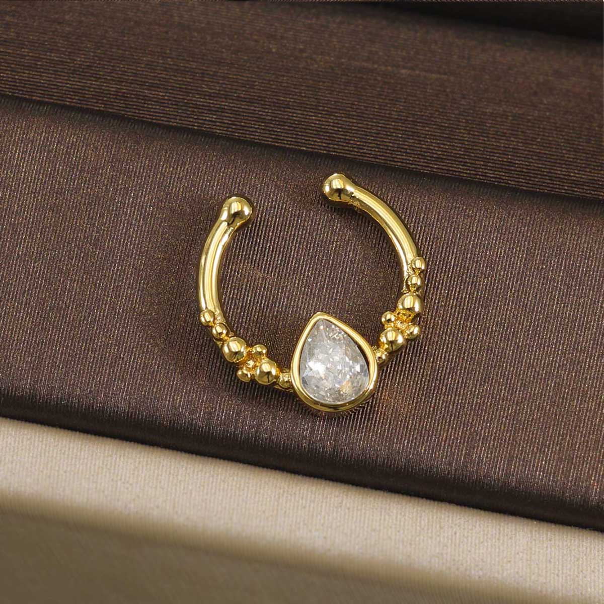 حلقة سيبتوم من الفولاذ المقاوم - مراجعة Helix Cartilage Ring وسعره