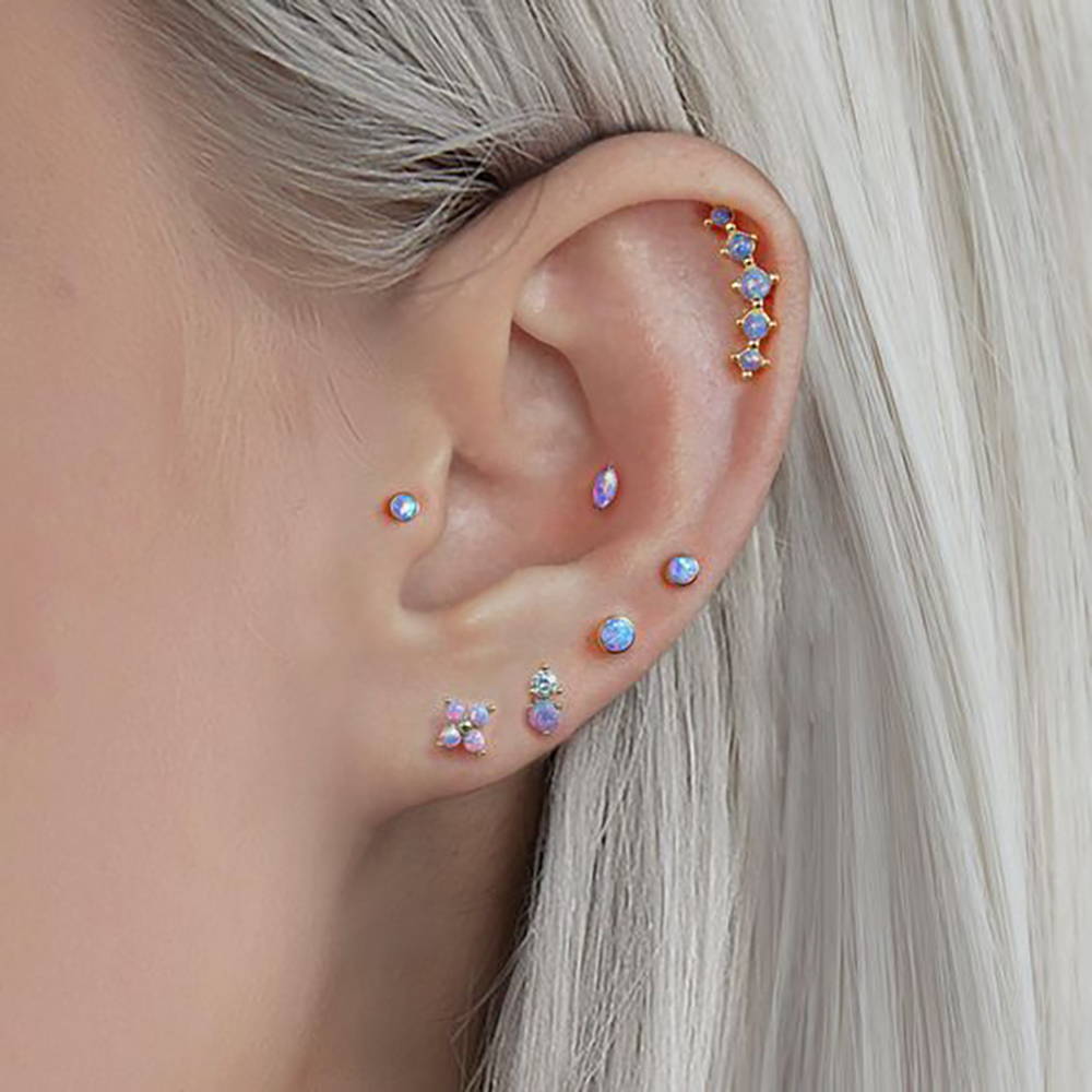 1 قطعة الفولاذ المقاوم للصدأ أ - مراجعة Helix Cartilage Ring وسعره
