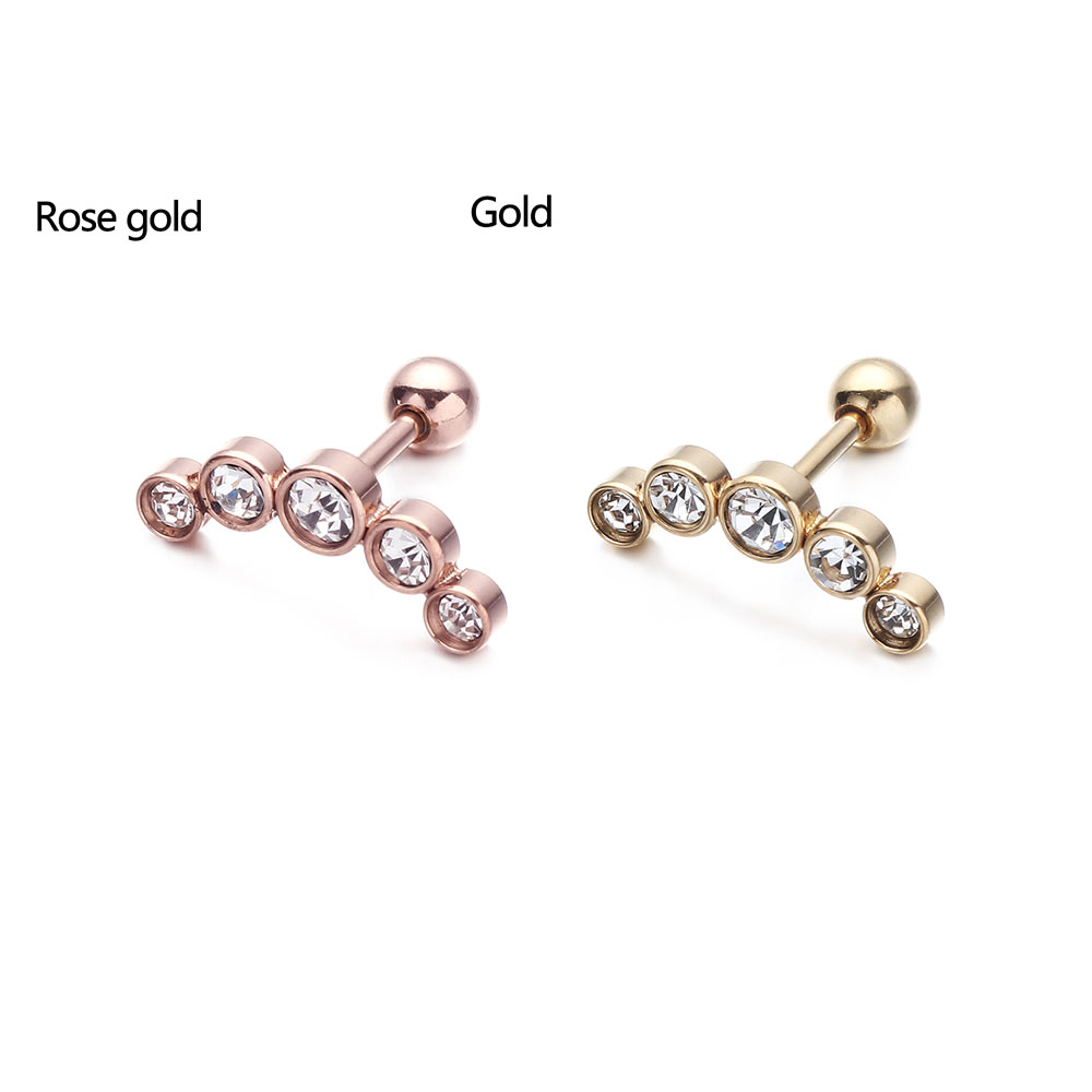 قطعة واحدة من أقراط الأذن المص - مراجعة Body Jewelry Ear Piercing وسعره