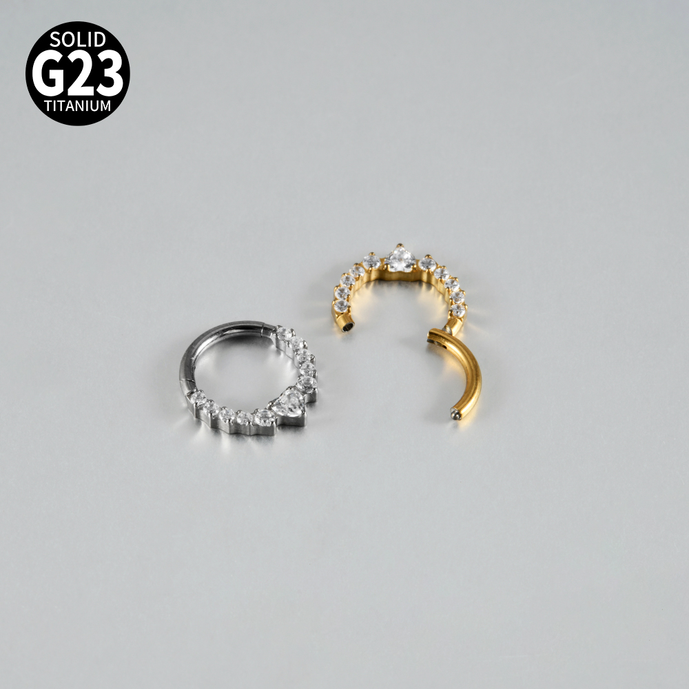 قطعة واحدة من مجوهرات ثقب الأن - مراجعة Septum Clicker Ring وسعره